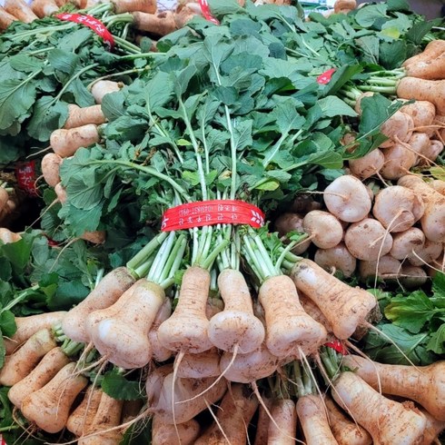 알타리무 - [맛통령] 신선한 알타리무 맛있는 총각무, 1개, 2kg 2단