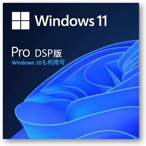 윈도우dsp - Windows 11 10 DSP 판 Pro, Proライセンス