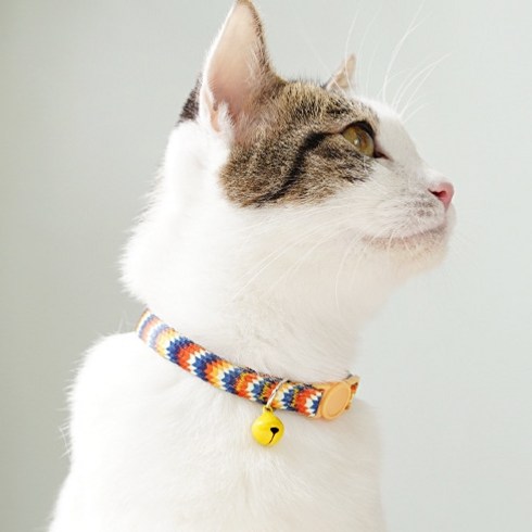 냥이마트 고양이 강아지 목걸이 반려동물 패션 악세사리 2개, 노랑(옐로우), 1개