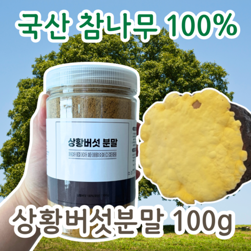 상황버섯분말 - 상황버섯분말 참나무 버섯가루 국산 상황버섯 분말 100프로 국내산, 100g, 1개