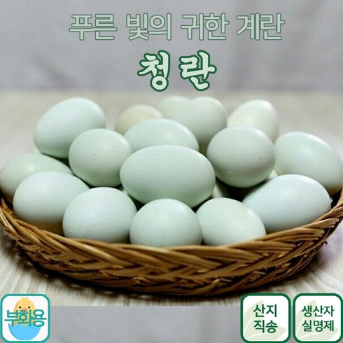 금강초계 청란 부화용, 20개