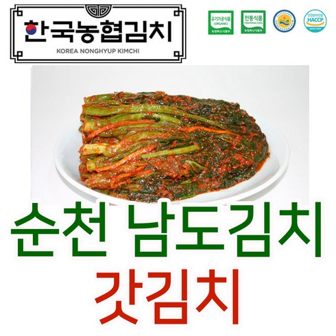 순천원데이클래스 - 입점특가 한국농협김치 순천 남도 갓 김치 전라도 HACCP 국내산, 5kg, 1개