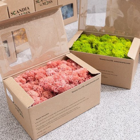 스칸디아모스 이끼 미디엄그린 150g, 1개