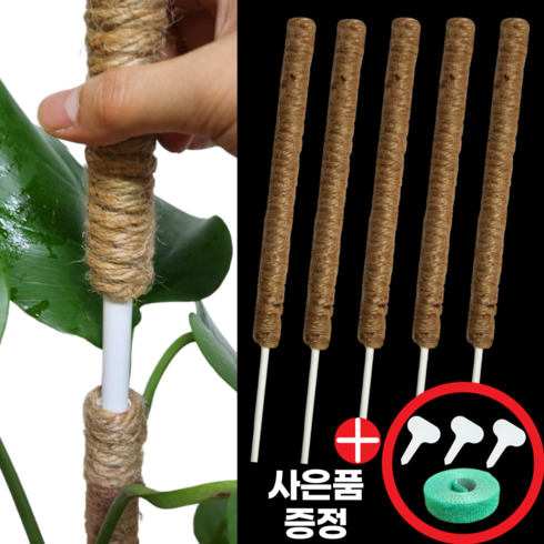 몬스테라수태봉 - 수태봉 슬림 연결형 36~65cm 위로공방 식물지지대, 01. 슬림 36cm 5개, 1세트