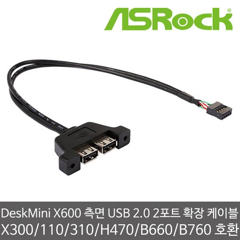 2024년 최고 asrockdeskminix600 베스트상품