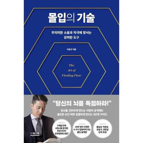 몰입의기술 - 몰입의 기술:무의미한 소음과 자극에 맞서는 강력한 도구, 더퀘스트, 이윤규 저