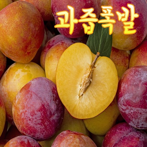 자두 - 꿀당도 하우스 햇자두 산지직송 1.5kg (45~60과), 1개, 1.5kg소과(45~60과)