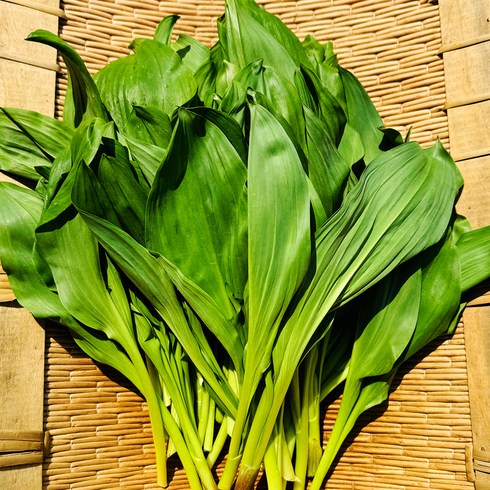 홍천 부드러운 명이나물 산마늘 산지직송 대명이, 1박스, 2KG