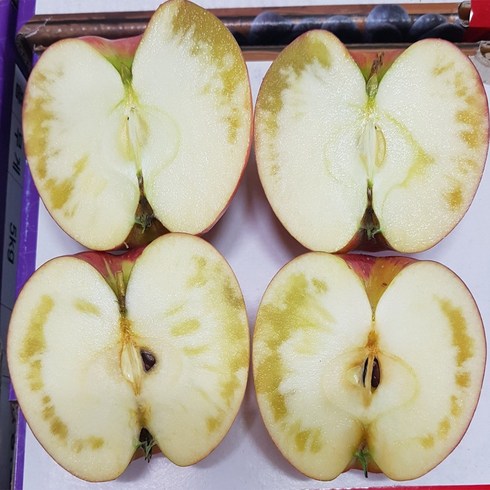 예쁜과일 청송사과 부사 얼음골 꿀사과 못난이 흠집 5kg 10kg 고당도 흠과 기스 고랭지 경북 안동, 가정용 부사사과 5kg 중과, 1개