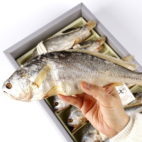 전통 부세 보리굴비 - [명품굴비] 영광법성포 보리굴비 27cm 29cm 31cm내외 5미 10미 가정용 선물용 명절선물세트 산지직송, 보리굴비27cm10미(명품선물포장), 1개