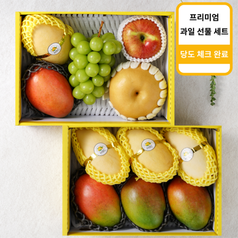 설 명절 과일 선물 세트, 옵션1, 1개