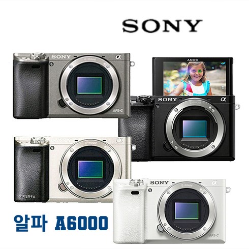 소니a6000 - 소니 A6000 렌즈미포함 바디 밧데리 충전기 기본구성 소니정품 알파DH, 실버