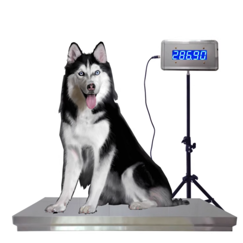 대형견 강아지 체중계 LED 대형 애완동물 동물병원 300kg, 50 X 80cm