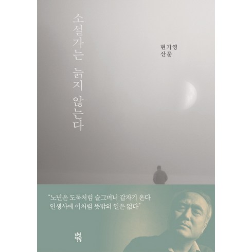 소설가는 늙지 않는다:현기영 산문, 다산책방, 현기영