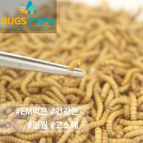 2023년 가성비 최고 밀웜 - [베타킹+EM먹인] 살아있는 밀웜 1+1 100마리+100마리 1000마리+1000마리