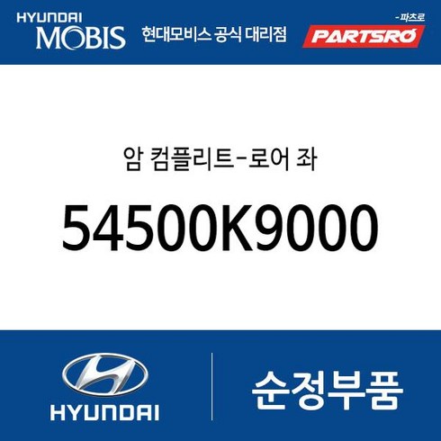 암 컴플리트-로어 좌 (54500K9000) 벨로스터N