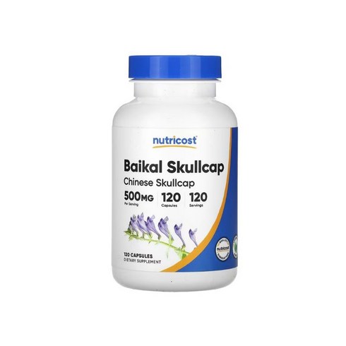 삼백초퀘르세틴 500mg 항염증 면역영양제, 1개, 120정