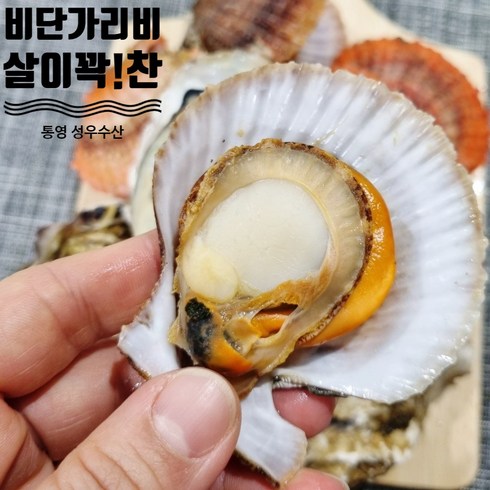 통영 성우수산 세척 선별 제철맞은 비단가리비 2kg 3kg 5kg 석화 & 가리비 세트 산지직송, 세트1)비단가리비2kg+석화5kg