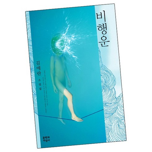 비행운 책, 없음