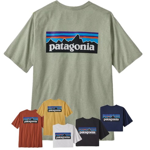 2023년 가성비 최고 파타고니아반팔 - 파타고니아 남성 P-6 로고 반팔티 38504