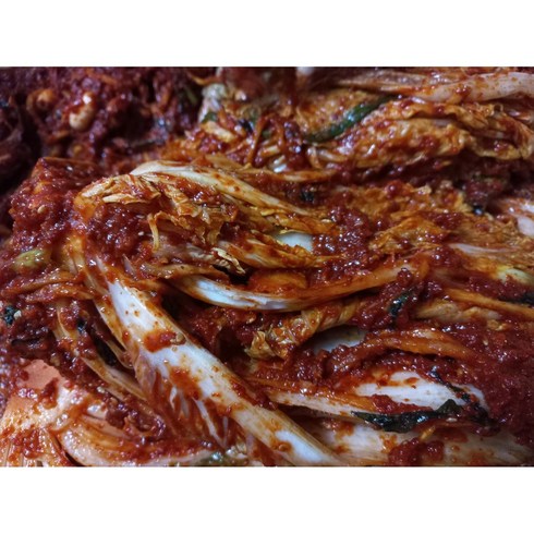 겉절이 5kg 100% 국내산 가람반찬 전라남도김치 국산배추 태양초, 덜 매운맛, 대용량 겉절이5kg, 1개
