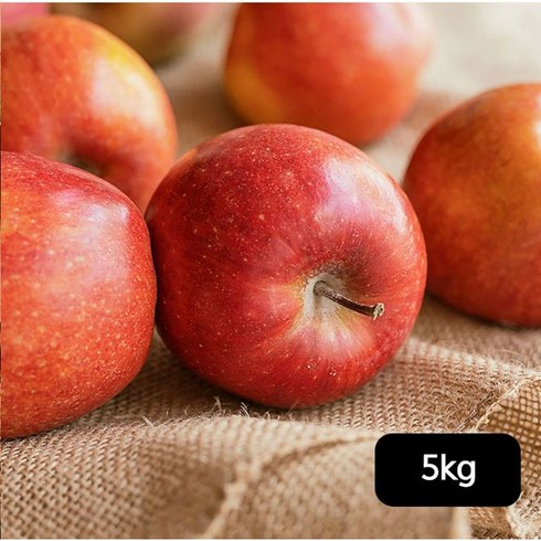 열매나무 못난이 후지 사과 2.5kg+2.5kg, 단일옵션