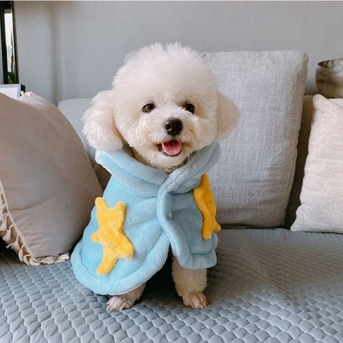 강아지 고양이 겨울옷 입는 담요 망토 패딩