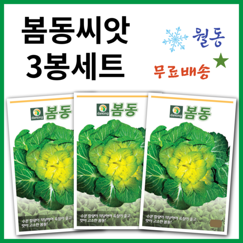 봄동씨앗 - 봄동씨앗 20g 3봉세트 채소씨앗 월동 가을 겨울 파종 작물 종자 씨, 3개