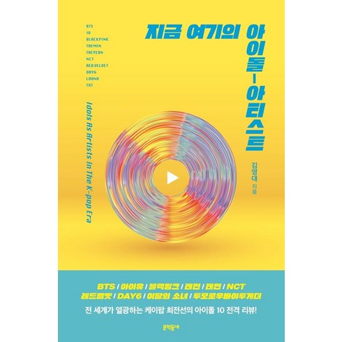 지금 여기의 아이돌-아티스트, 문학동네, 김영대