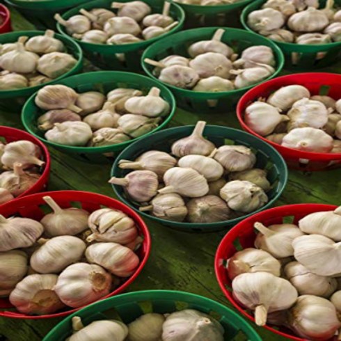 Posterazzi PDDCN10WBI0421LARGE Canada Quebec Montreal. Little Italy Marche Jean Talon Market Cloves of Garlic Photo Print 24 x 36 Multi, 1개
