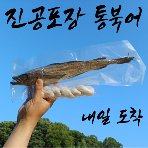 차고사 - 비우고 고사용 냄새없는 보관 진공 통 명태 북어, 1개, 간편고사세트