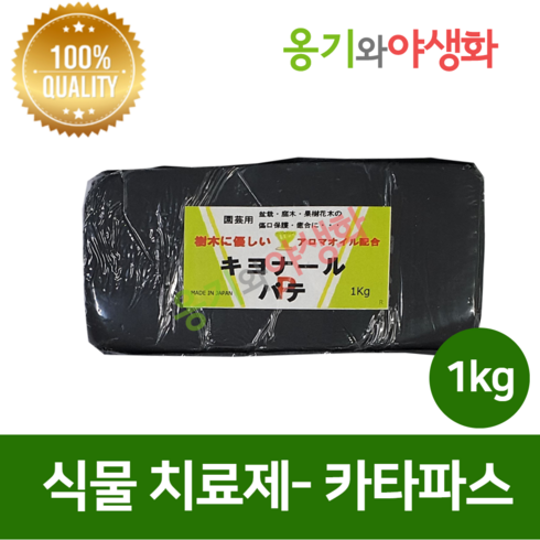카타파스 1kg 식물상처치료제 아로마, 1개