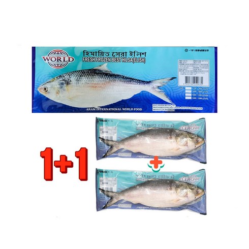 Frozen Hilsa 냉동청어 Bangladesh fish 방글라데 미얀마 생선 1kg 1+1, 2개