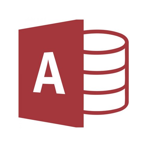 MS AI School - MS Access LTSC 2021 CSP 기업용 라이선스 영구사용, 단품