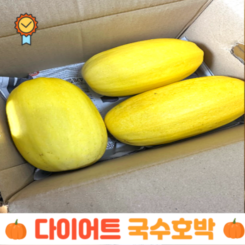 최고의다이어트 산지직송 농부님이 직적키우신 달달한 햇 국수호박 3kg 6kg, 2~3kg(내외), 1개
