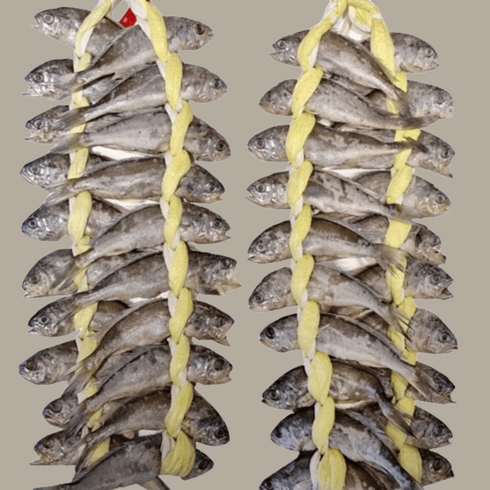 법성포굴비 - 영광 법성포 굴비 2.0kg내외 40미 가정용, 2kg, 40개