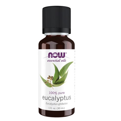 유칼립투스오일 - 나우푸드 에센셜 오일 유칼립투스, 30ml, 1개
