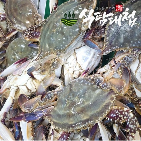 식탐대첩 국내산 활 숫꽃게 빙장포장 1 2 3 4 5kg 중량선택, 활 숫꽃게 3kg (9-18미) 빙장포장