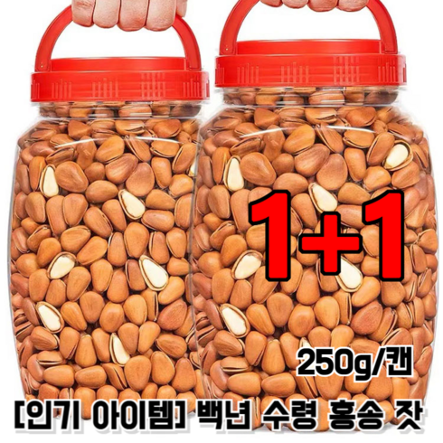 1+1 백년 수령 홍송 잣 원색 큰 잣 250g/캔 소나무 잣, 250g/캔*1