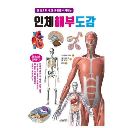 인체해부도 - 인체해부도감(한권으로 내몸 곳곳을 이해하는)