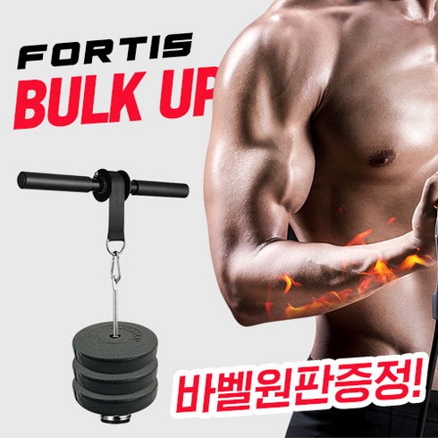 자이언 리스트롤러 추감기 전완근운동 벨트형, 포르티스 추감기 벨트형