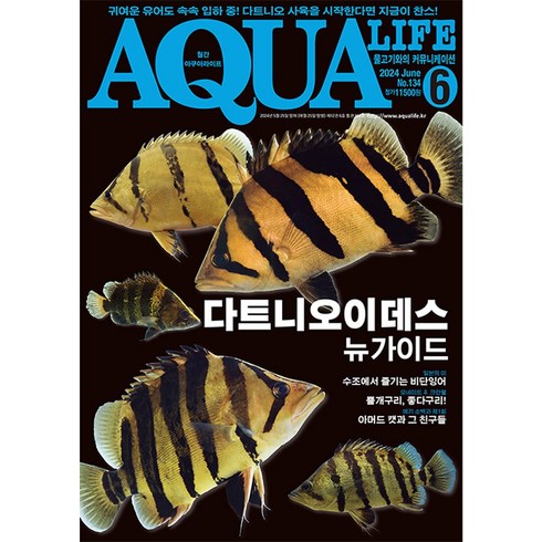 아쿠아라이프 - 2024년 아쿠아라이프 6월호 [다트니오이데스 뉴가이드], 단품, 단품