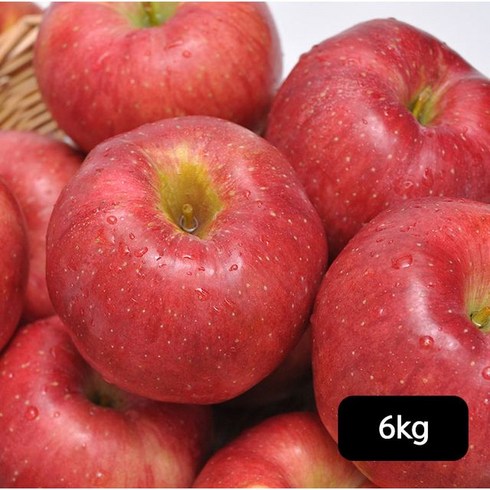 열매나무 열매나무 못난이 후지 사과 3kg+3kg (총 6kg), 단일옵션