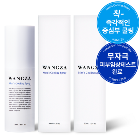 왕자몰 - 왕자몰 왕자스프레이 남성 쿨링 스프레이 땀냄새 개선, 30ml, 2개