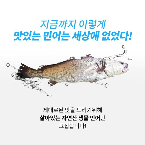 민어회 - 1~1 5kg대 민어회 민어 국내산 살아있는 자연산 신안생물민어회 탕 민어한마리 극한민어, 1~1.5kg를통채로, 1개