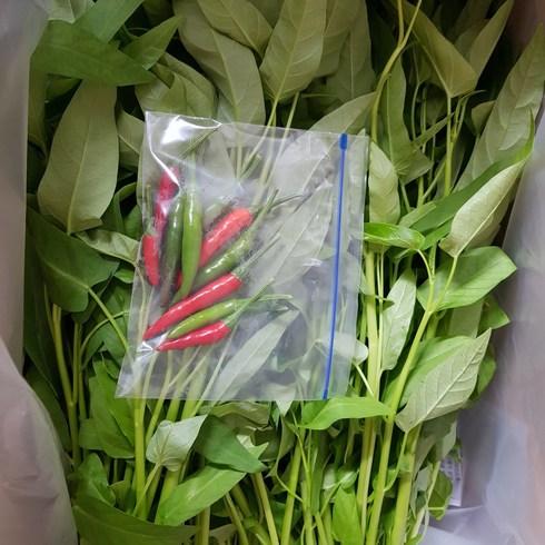 함안뚝방 공심채, 5kg, 1박스