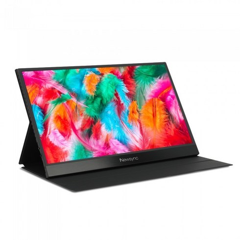 비트엠 Newsync P150FT 포터블 멀티뷰 HDR, 1