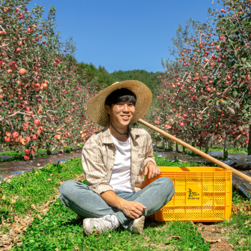 껍질째 온거로 먹는 청송 꿀땡이사과 햇부사 5kg/10kg, 4. 부사 혼합 5kg 24~26과(꼬마), 1개