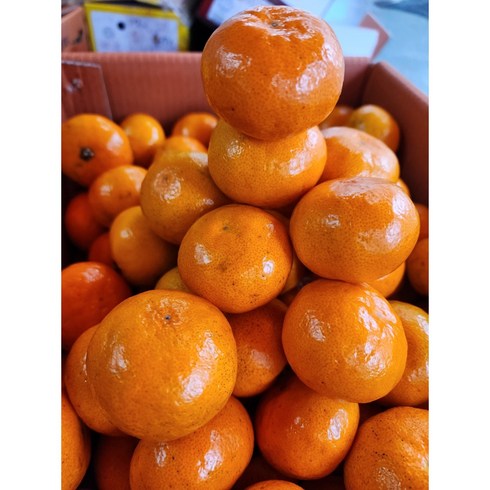 귤 5kg, 귤3kg, 1개