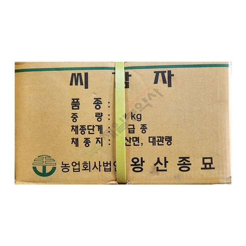 씨감자 10kg 홍영씨감자 자영씨감자 왕산종묘씨감자 24년, 1. 자영